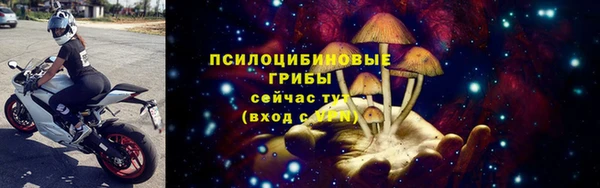 соль ск Костерёво
