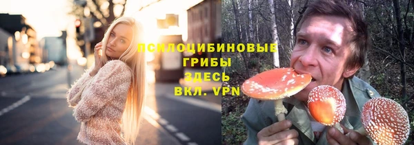 соль ск Костерёво