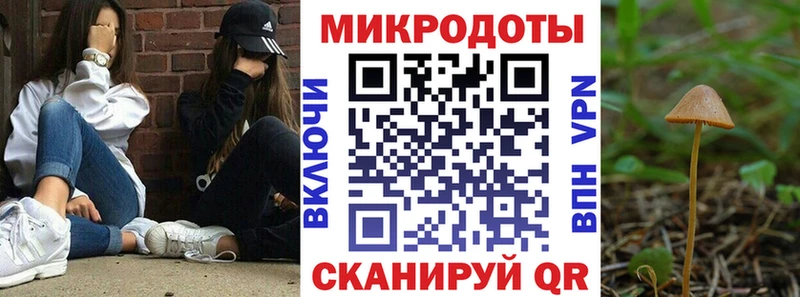 Купить  Калязин  Галлюциногенные грибы Psilocybe 